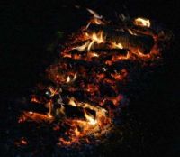 2009 Firewalking Gallery